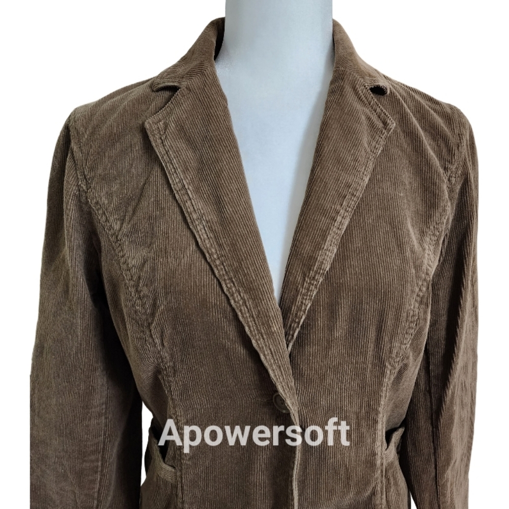 Ann Taylor Brown Corduroy Blazer - Picture 3 of 9